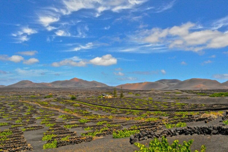 lanzarote-volcanos-of-timanfaya-and-caves-tour-with-lunch