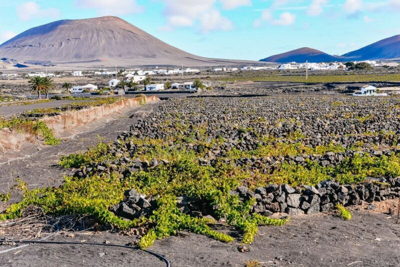 lanzarote-volcanos-of-timanfaya-and-caves-tour-with-lunch