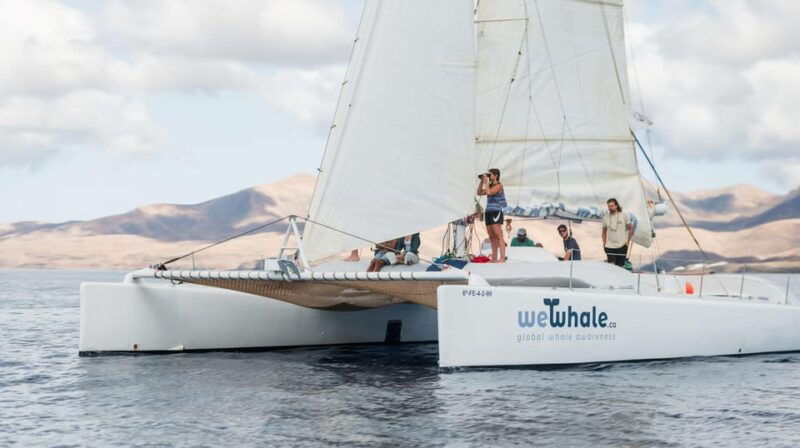 lanzarote-whale-and-dolphin-watching-eco-friendly-catamaran