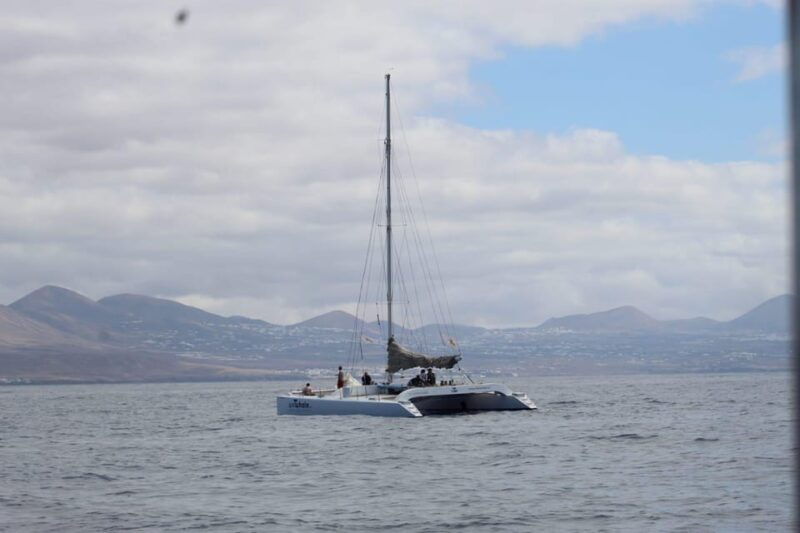 lanzarote-whale-and-dolphin-watching-eco-friendly-catamaran
