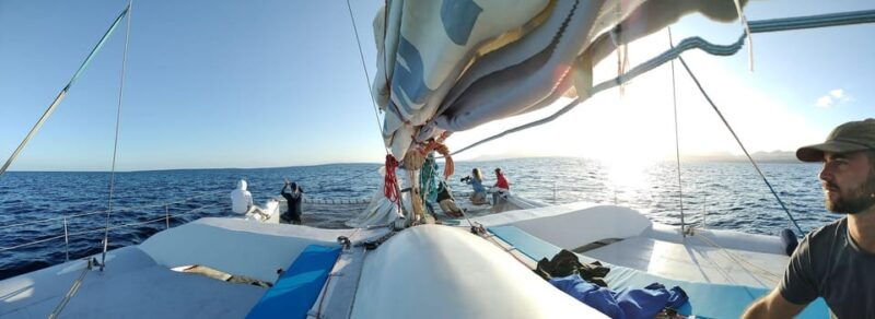lanzarote-whale-and-dolphin-watching-eco-friendly-catamaran