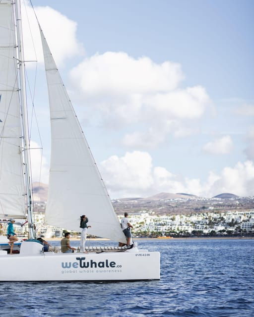 lanzarote-whale-and-dolphin-watching-eco-friendly-catamaran