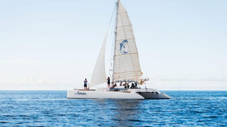 lanzarote-whale-and-dolphin-watching-eco-friendly-catamaran
