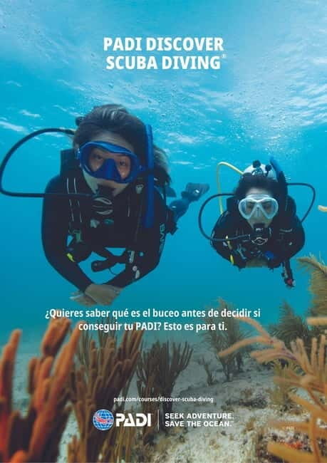 Lanzarote Your First Scuba Diving Experience - An Authentic Introduction to Lanzarote’s Underwater World