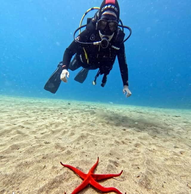 Lanzarote Your First Scuba Diving Experience - Why This Tour Offers Great Value