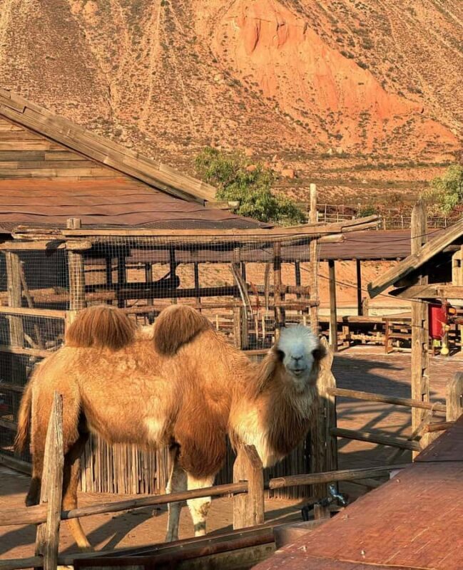 Lanzhou: Tianfu Sand Palace, Ink Danxia & Hekou Old Town - Frequently Asked Questions