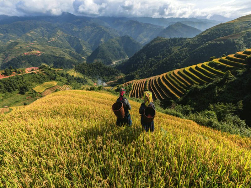 lao-chai-full-day-ta-van-trek-tour-from-sapa