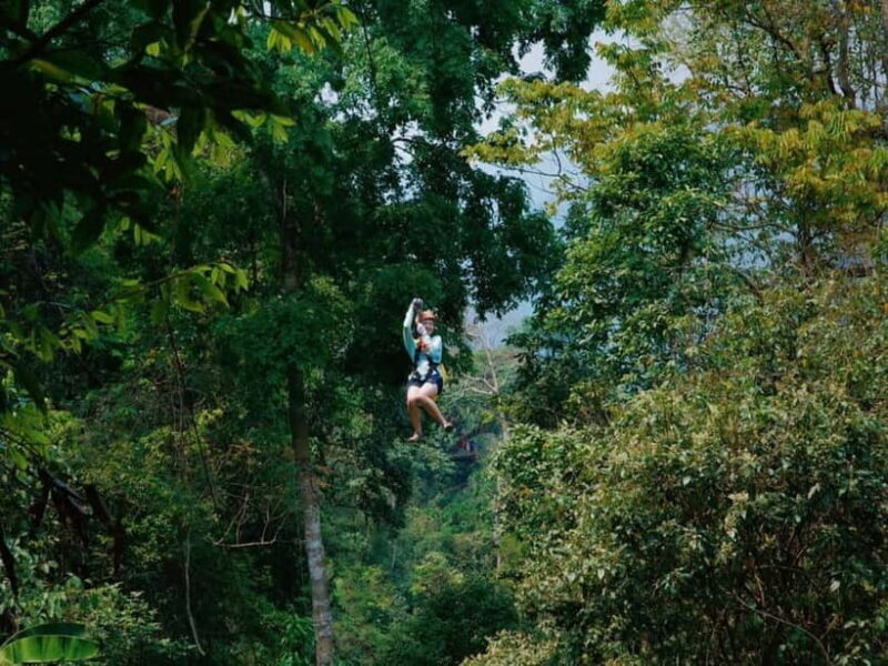 Laos: Jungle Zipline and Caving Tour - Who Will Enjoy This Tour?
