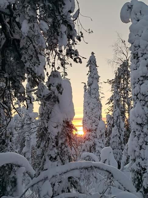 Lapland: A Day at a Traditional Log Cabin & Snowshoe Trek - Experience the Charm of Lapland: A Day at a Traditional Log Cabin & Snowshoe Trek