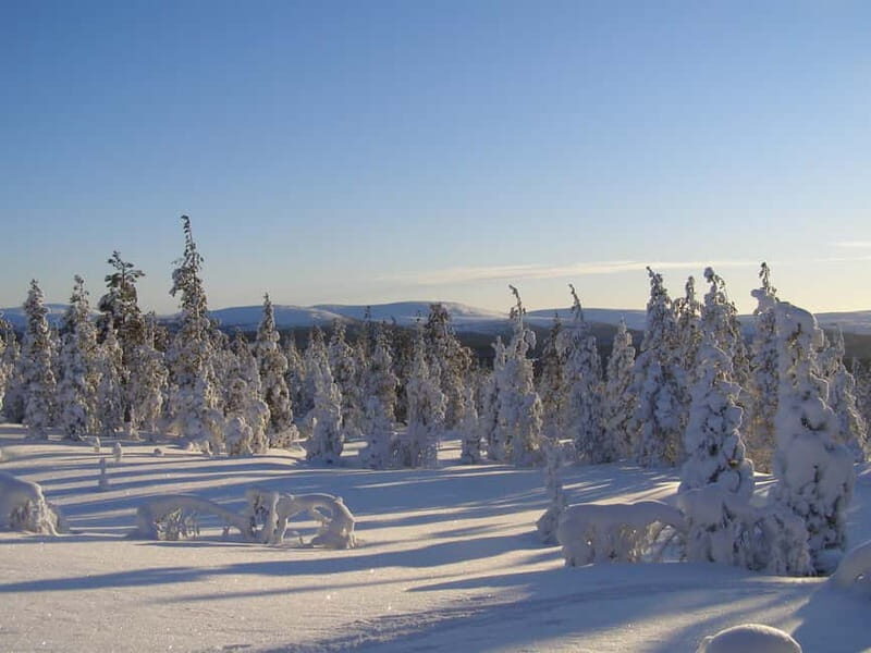 Lapland: A Day at a Traditional Log Cabin & Snowshoe Trek - Tasting Local Flavors in the Kota