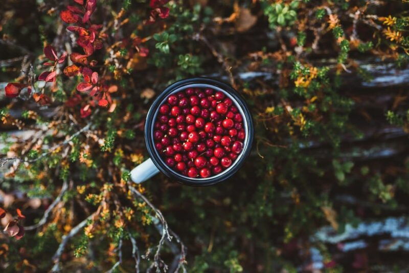 lapland-cooking-workshop