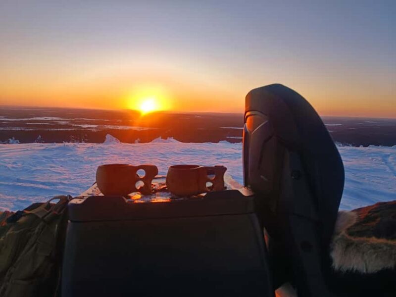 Lapland: Exclusive Private 7h Snowmobile Tour with Guide - A Closer Look at the Snowmobile Experience