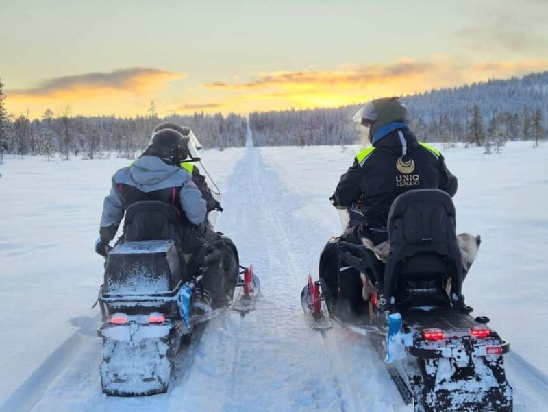 Lapland: Exclusive Private 7h Snowmobile Tour with Guide - Northern Lights: A Chance to See Nature’s Light Show