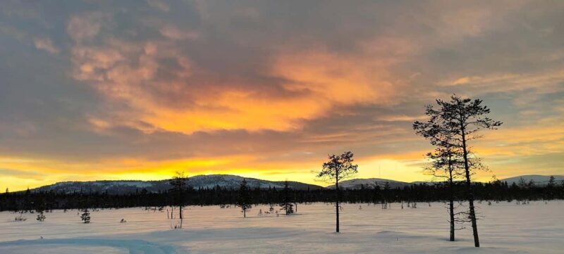Lapland: Exclusive Private 7h Snowmobile Tour with Guide - Who Will Love This Tour?