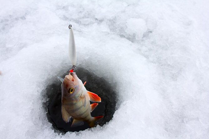 lapland-ice-fishing-experience-from-rovaniemi