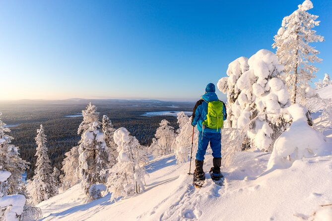 lapland-ice-fishing-experience-from-rovaniemi