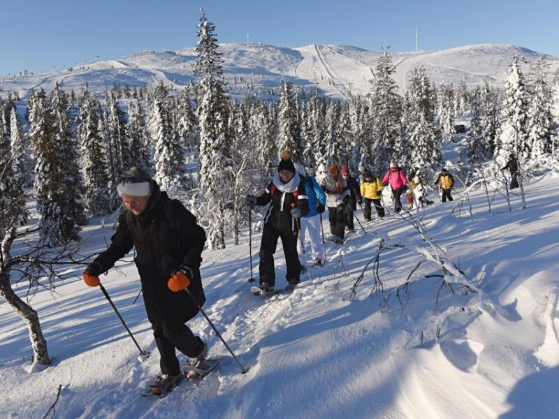 lapland-levi-panoramic-snowshoeing