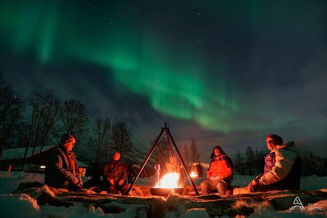 Lapland Northern Lights Tour from Tromso - Key Points  