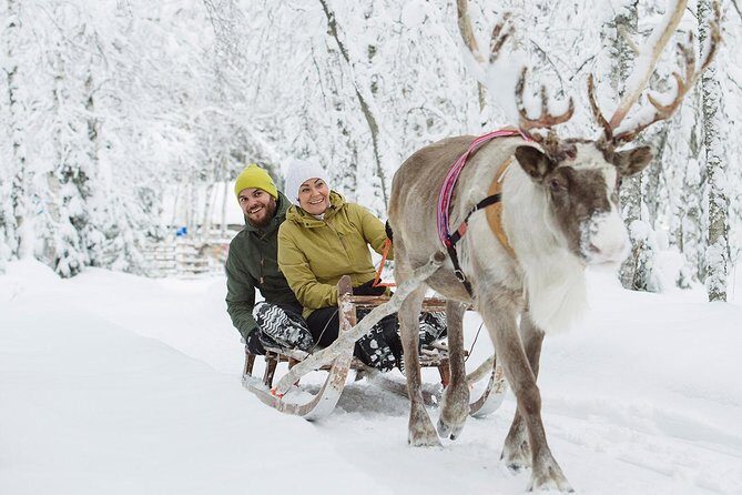 Lapland Reindeer Safari from Rovaniemi - What Travelers Say: Real Insights from Reviews