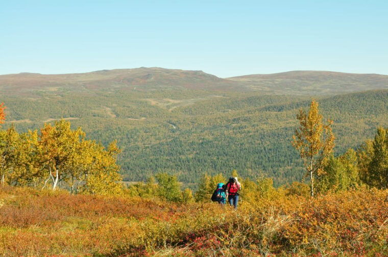 lapland-three-day-trekking-in-the-swedish-highlands