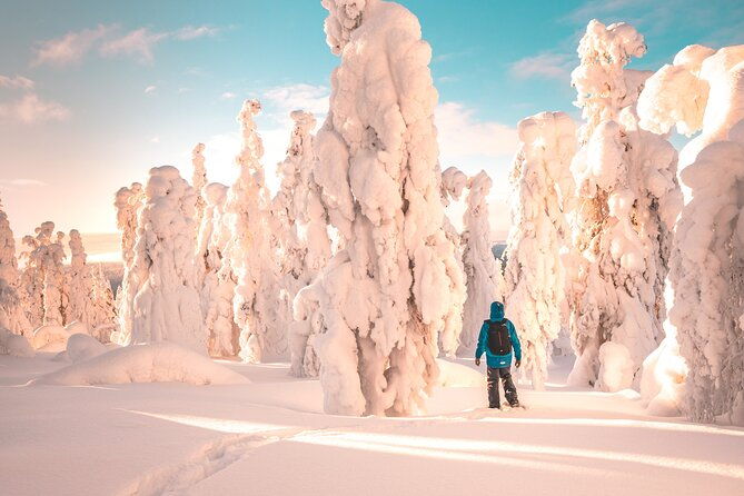 lapland-winter-experience