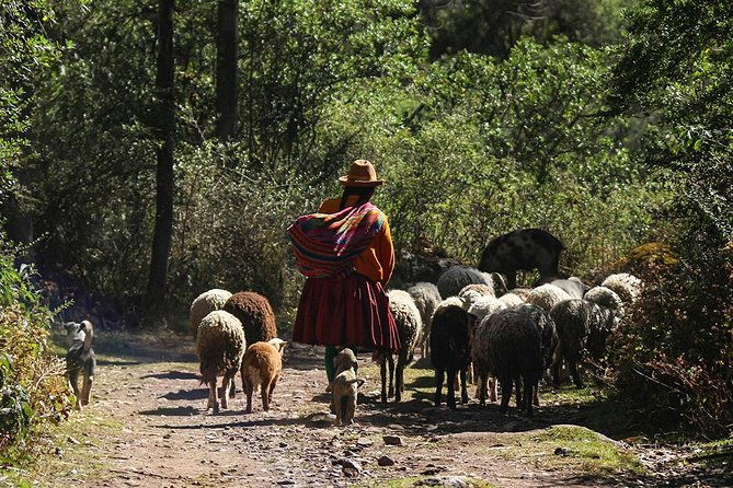 lares-trek-private-service