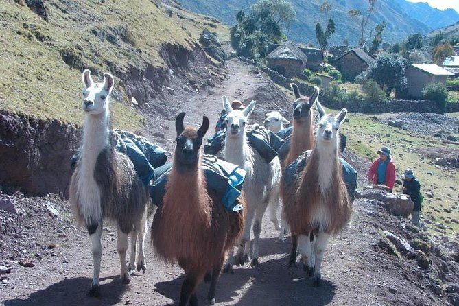 lares-trek-to-machu-picchu-4-day-tour