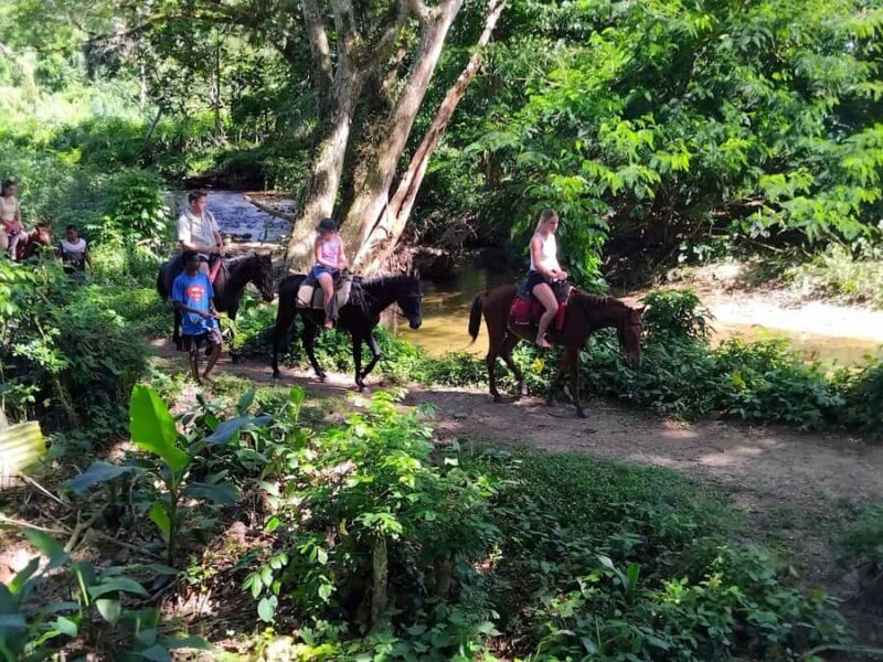 Largest zipline/Cave & Biausevu waterfall Discovery tour - FAQ