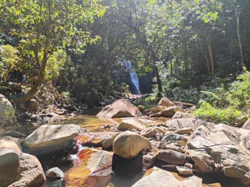 Largest zipline/Cave & Biausevu waterfall Discovery tour - Exploring the Full-Day Fiji Adventure: An In-Depth Review