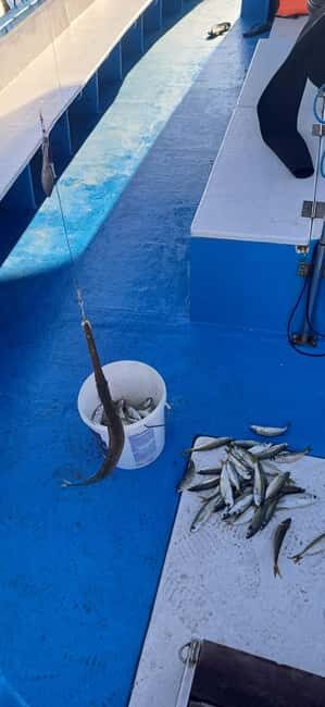 Larnaca: Private Fishing - Traditional Explorer N Vessel - Why This Trip Works Well