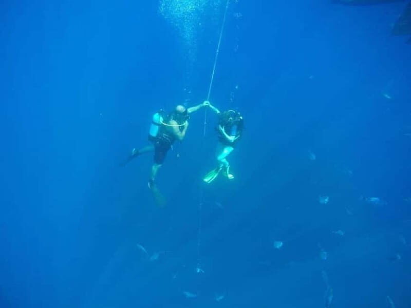 Larnaca: Private Zenobia Beginners Divers - Why Travelers Love Zenobia Divers