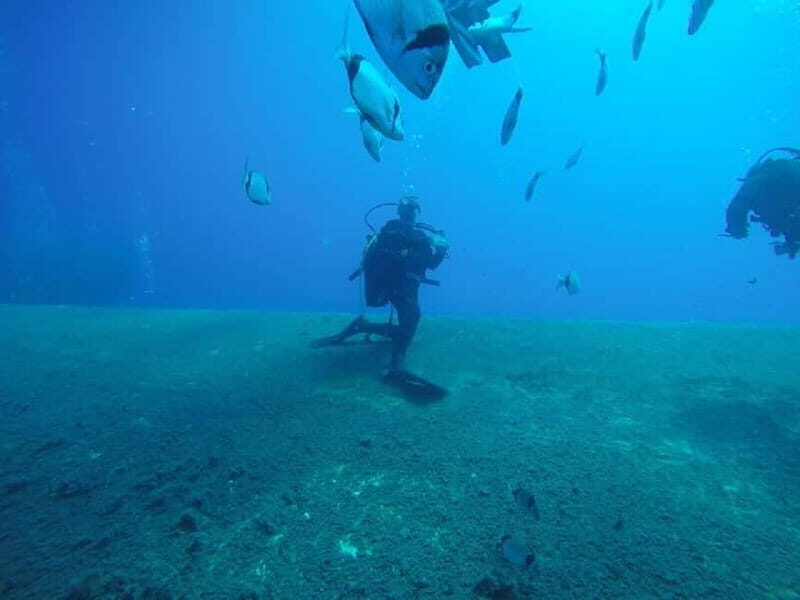 Larnaca: Private Zenobia Beginners Divers - Final Thoughts