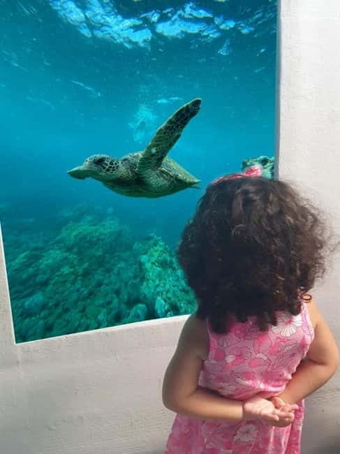 Larnaca: Yellow Submarine Mini Cruise with a Swim Stop - The Experience: What to Expect on Your Mini Cruise