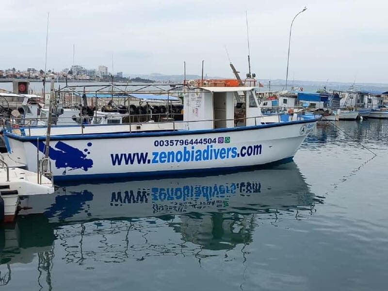 Larnaca: Zenobia Qualified Divers - Who Is This Tour Best For?
