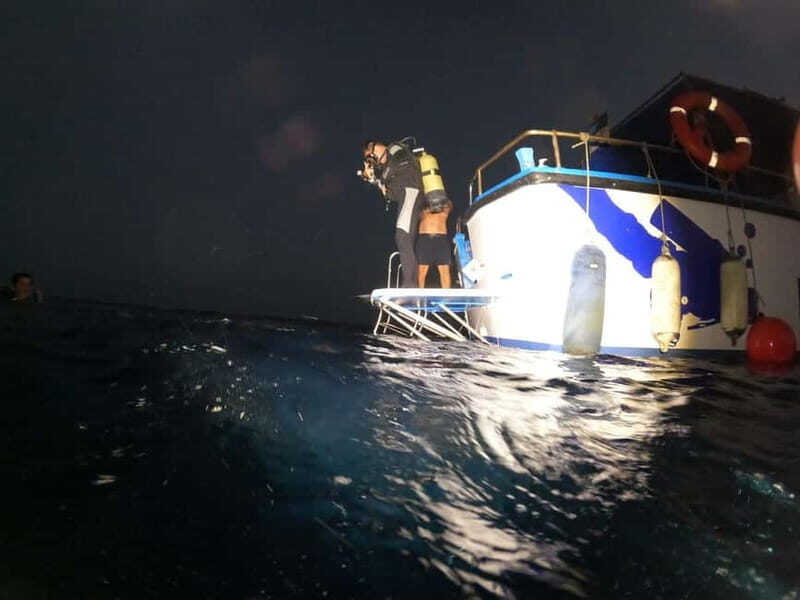 Larnaca: Zenobia Wreck Night Dive Certification With SSI - Why Night Diving at Zenobia is Special