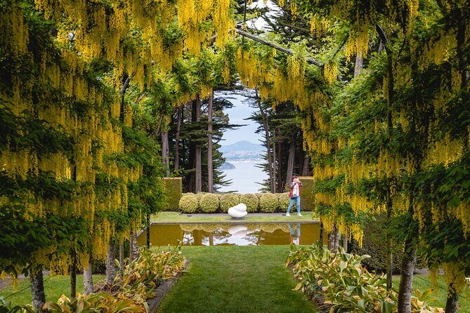 Larnach Castle & Otago Wildlife Cruise from Dunedin - Practical Details and Additional Information