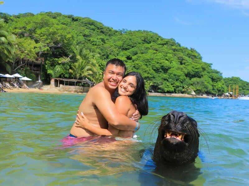 Las Caletas: The most beautiful beach in Puerto Vallarta - Detailed Breakdown of Activities