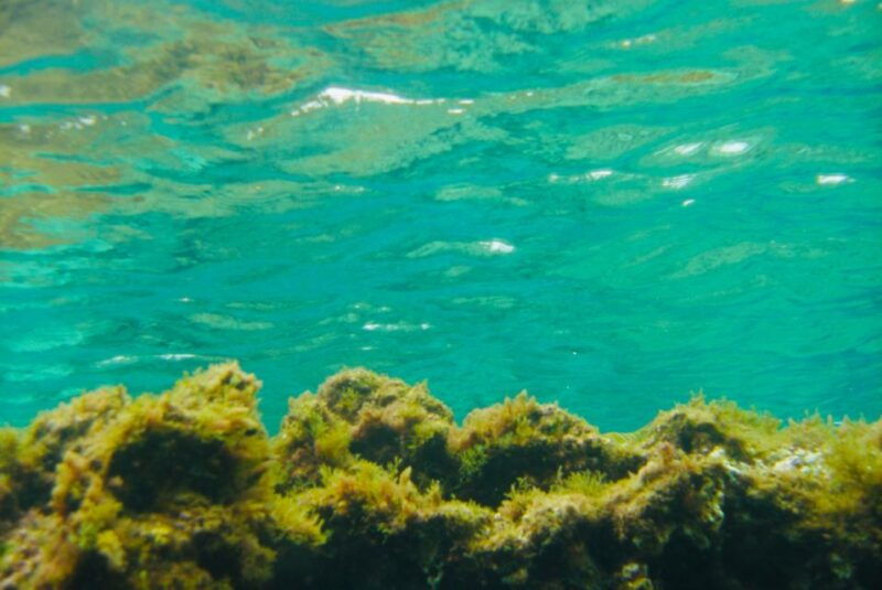 las-canteras-scuba-diving
