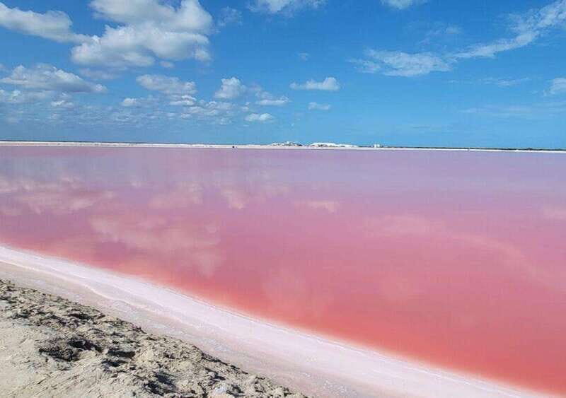 Las Coloradas: Full-day tour to the Pink Lake & Rio Lagartos - An In-Depth Look at the Tour