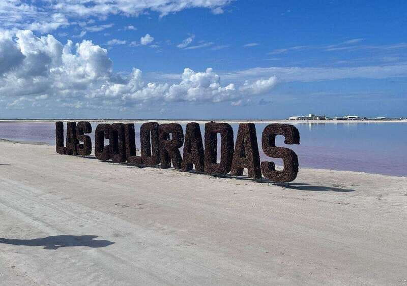 Las Coloradas: guided visit, Río Lagartos boat tour & lunch - Key Points