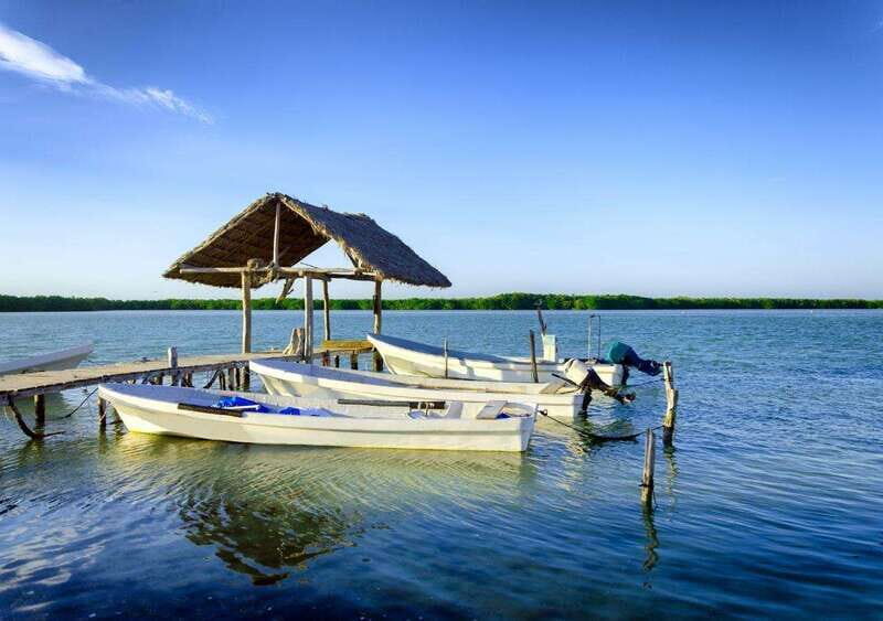 Las Coloradas: guided visit, Río Lagartos boat tour & lunch - Overall Value and Experience