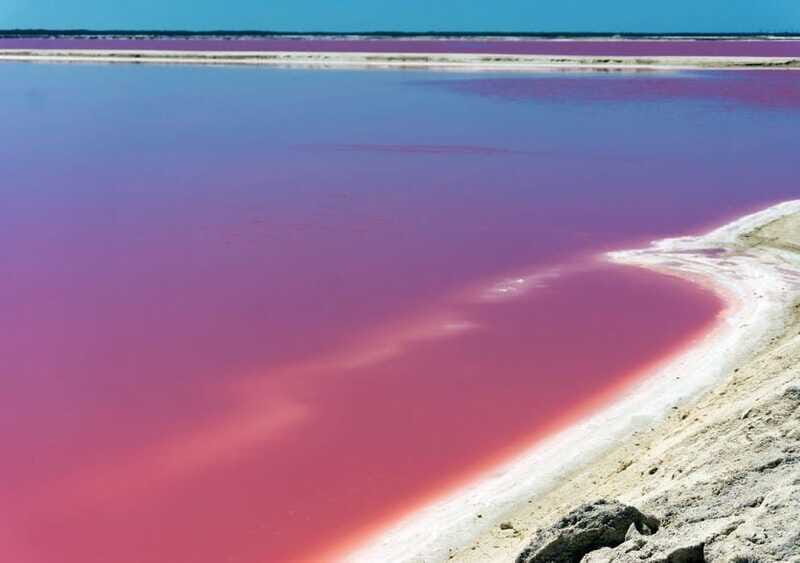 Las Coloradas: guided visit, Río Lagartos boat tour & lunch - Who Would Love This Tour?