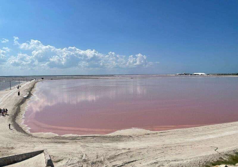 Las Coloradas: Pink Lake guided tour and Rio Lagartos visit - Key Points