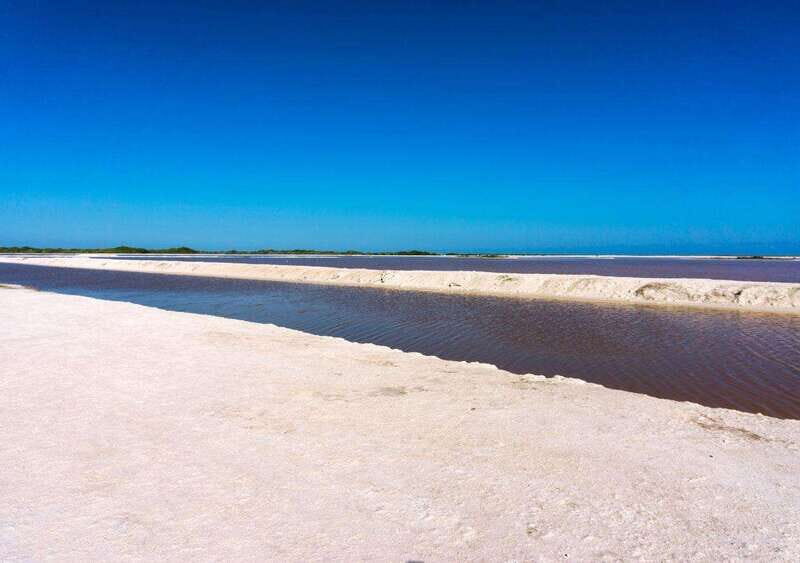 Las Coloradas: Pink Lake guided tour and Rio Lagartos visit - What Makes This Tour Stand Out?