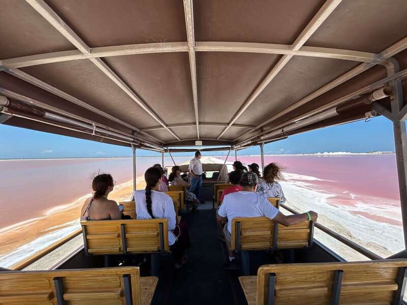 las-coloradas-pink-lakes-safari-tour