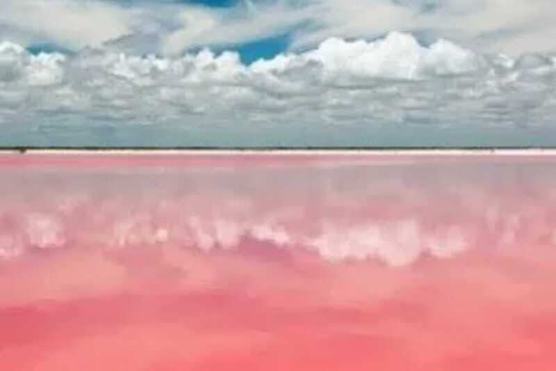 Las Coloradas + Rio Lagartos Private tour - A Close Look at the Itinerary and Experience