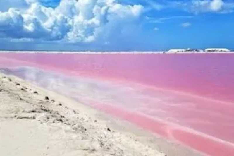 Las Coloradas + Rio Lagartos Private tour - Who Is This Tour Best For?