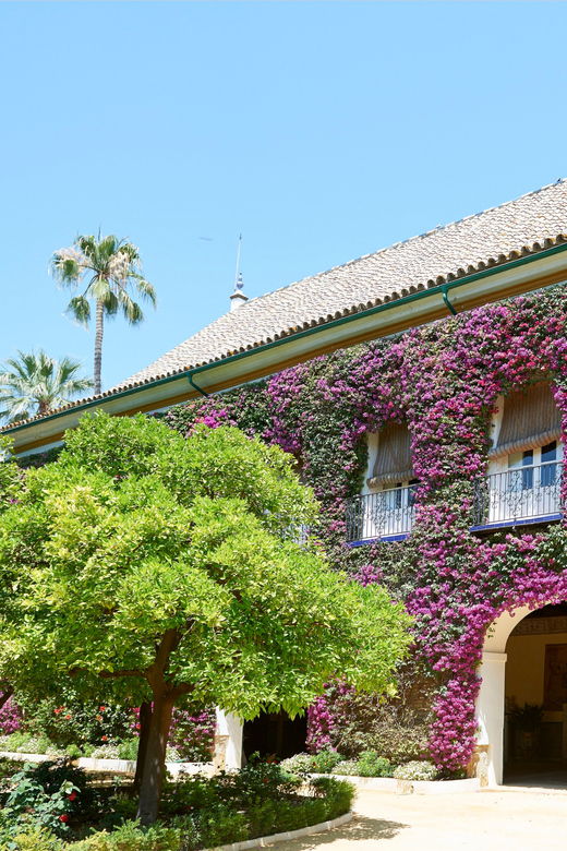 las-duenas-palace-entry-ticket-and-audio-guide