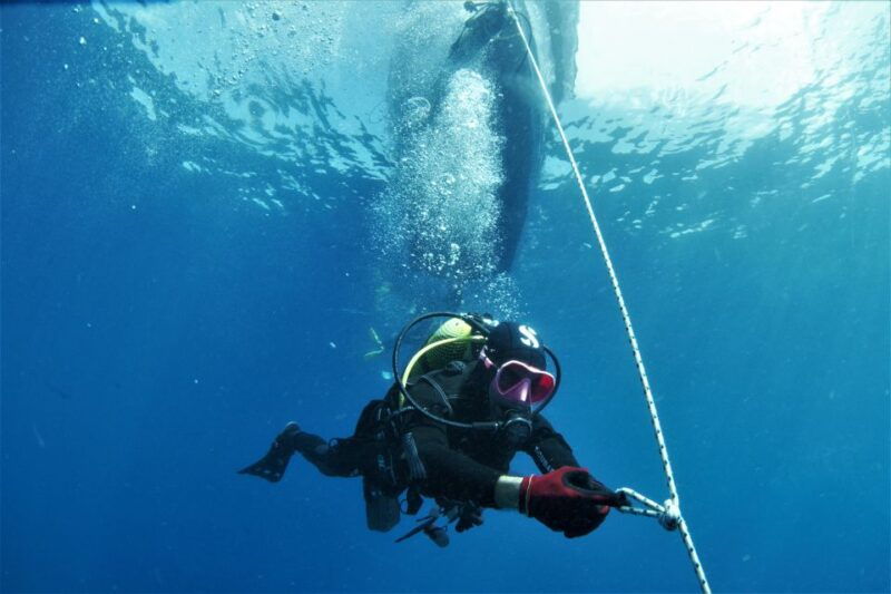 las-palmas-2-day-padi-scuba-diving-course