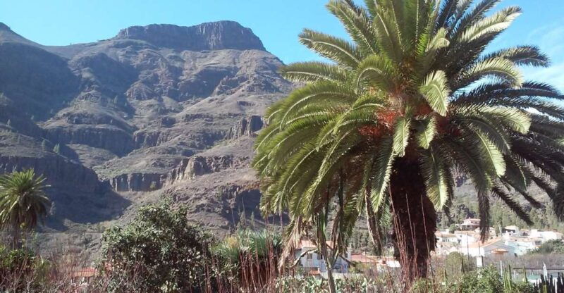 las-palmas-8-hour-gran-canaria-island-highlights-tour